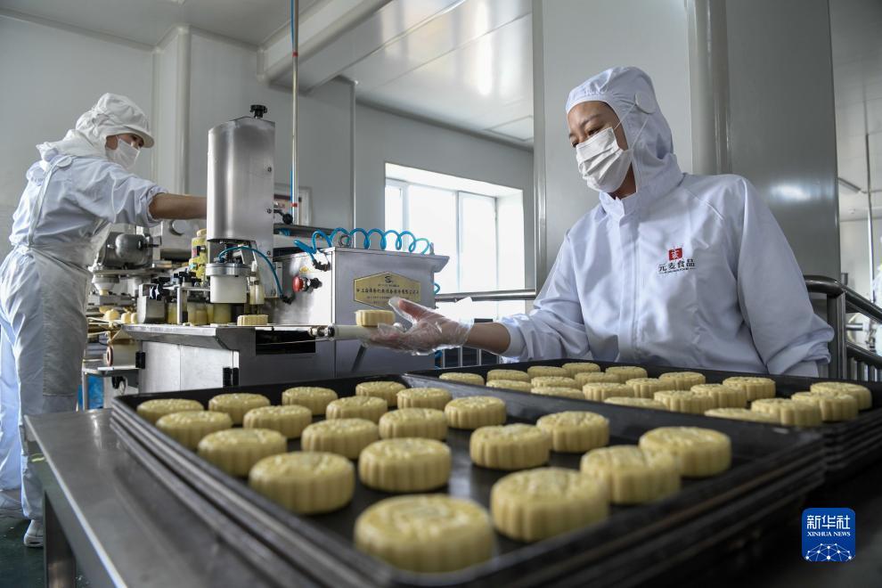 官网允许的棋牌